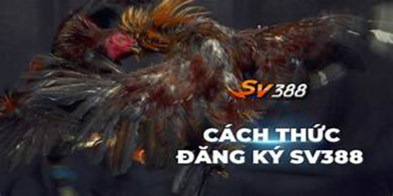 Cách đăng ký tài khoản SV388