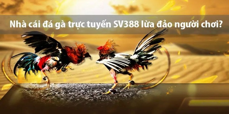 Thực hư về tin đồn SV388 lừa đảo