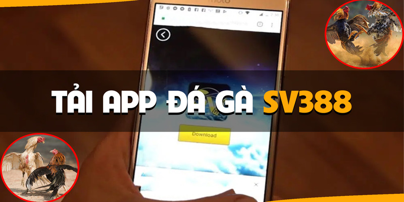 Tải app SV388 cho android đơn giản